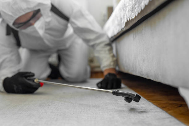 Professional Bed Bug Control technician working in Leisuretowne, NJ