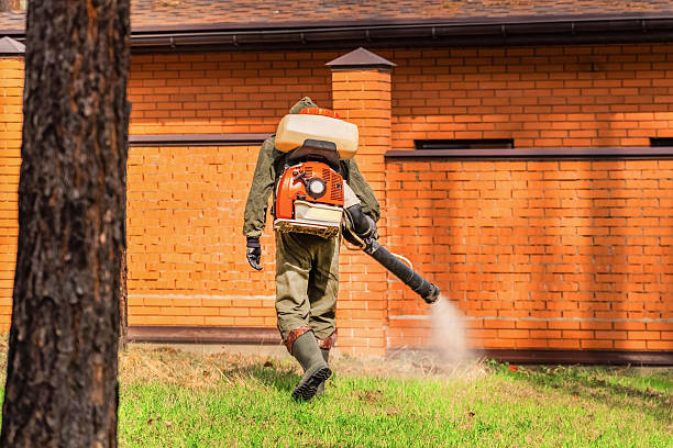 Trusted Bed Bug Control service in Leisuretowne, NJ - Nex Pest Control